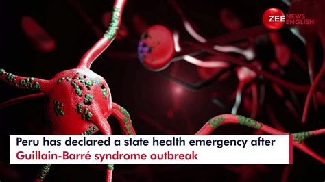What Is Guillain Barré Syndrome The Outbreak That Forced Peru To