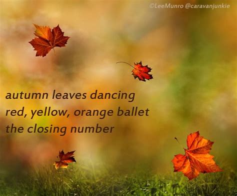 Autumn 2 Haiku Haiku Autumn Leaves Poster