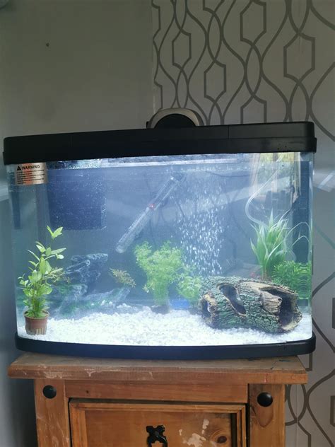 Brackish Fish Aquarium Set Up