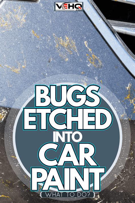 Bugs Etched Into Car Paint—what To Do