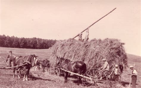 Skottau Kreisgemeinschaft Neidenburg