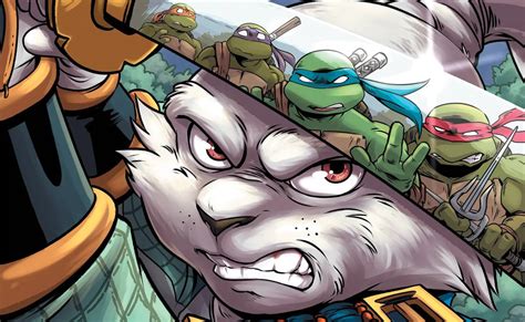 Teenage Mutant Ninja Turtles Usagi Yojimbo Wherewhen Comic Book