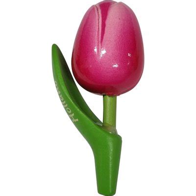 Time For Tulips Tulip Holland Magnet Typical Dutch Online