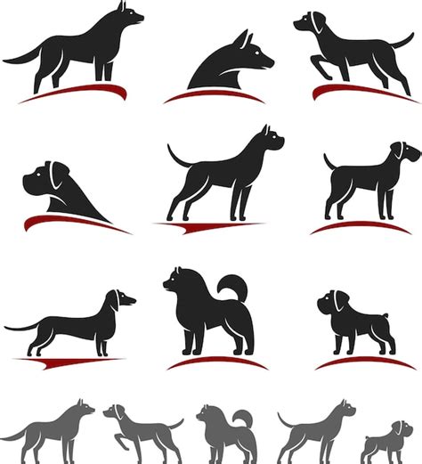 Premium Vector Dogs Set Vector
