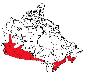 cougar in cda map – International Society for Endangered Cats (ISEC) Canada