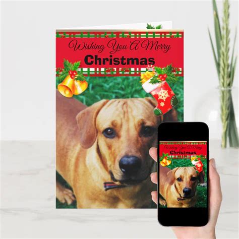 Personalised Custom Dog Photo Christmas Cards | Zazzle