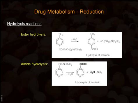 Ppt Drug Metabolism And Elimination Powerpoint Presentation Free