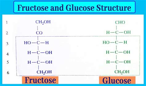 Fructose How Fructose Converted Into Glucose Structure And Formula