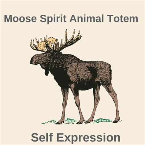 Moose Spirit Animal Totem Animal Medicine Card Readings