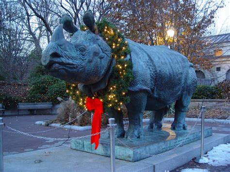 Christmas Lights At The Bronx Zoo Hellotickets