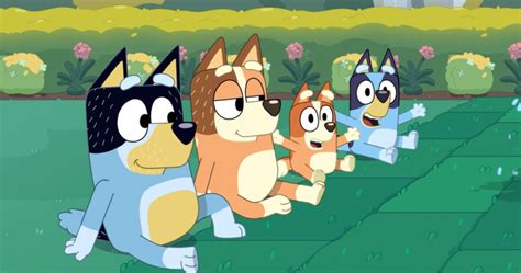 Nouvel épisode de Bluey sur Disney le plus long à ce jour Series 80