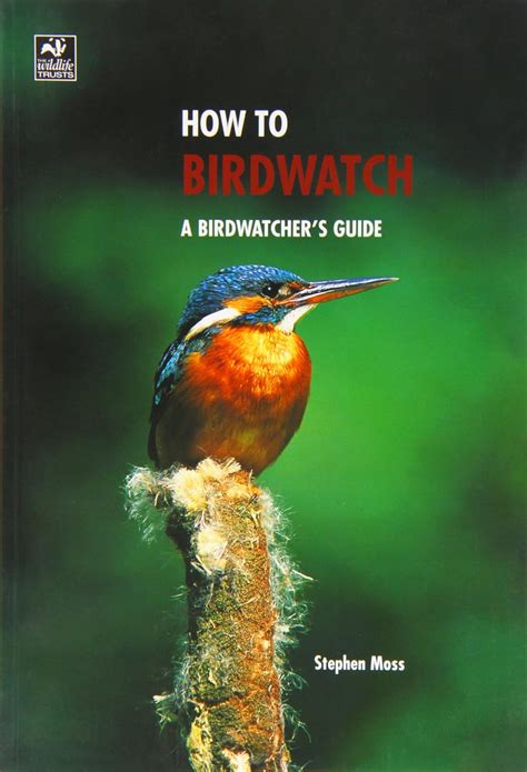 How To Birdwatch Stephen Moss 9781845172497 Books