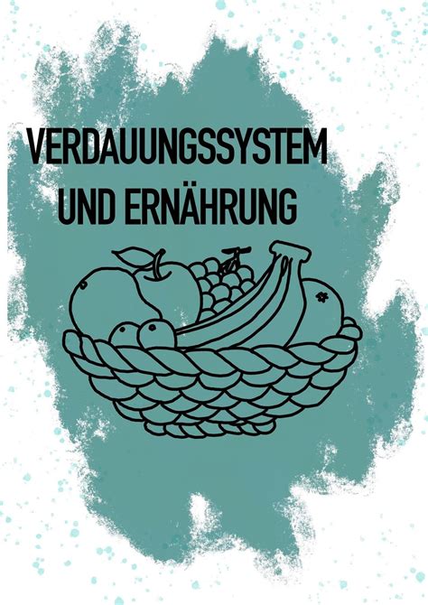 Lernzettel Verdauungssystem und Ernährung Etsy de