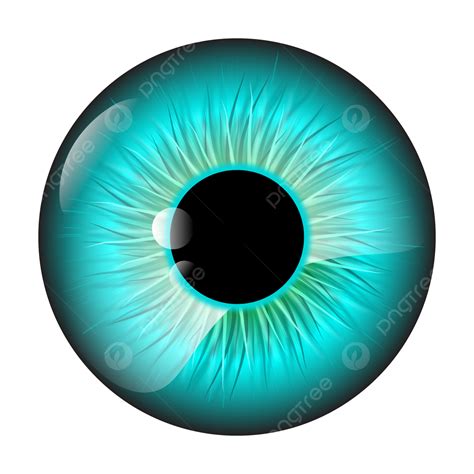 Ojo De Iris Azul PNG Dibujos Ojo Azul Iris Alumno PNG Y Vector Para