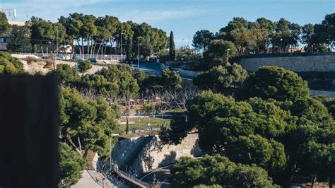 Obras Geomallas Y Barreras De Amortiguamiento Para Evitar