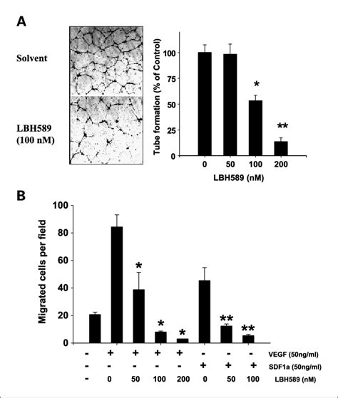 Effect Of Lbh On Huvec Tube Formation And Matrigel Invasion A