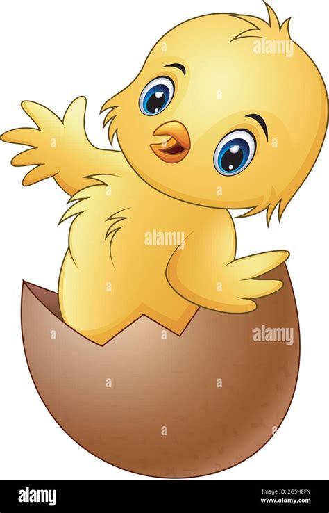 Chicken Egg Cartoon