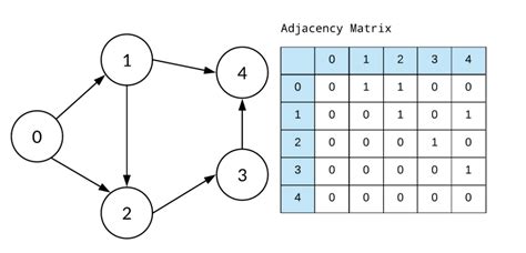 Graphs Basic