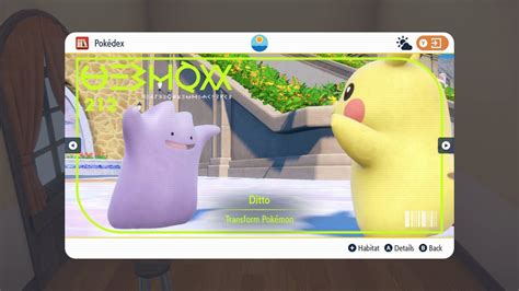 Where To Find Ditto In Pok Mon Scarlet Violet