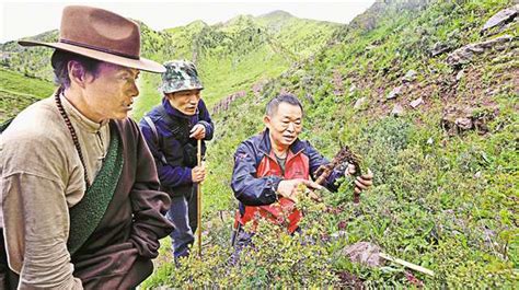 重庆对口支援昌都——十轮接力且看藏东巨变 新华网重庆频道