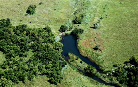 Free Images Water Nature Forest Grass Hill River Valley Stream Green Jungle Dam