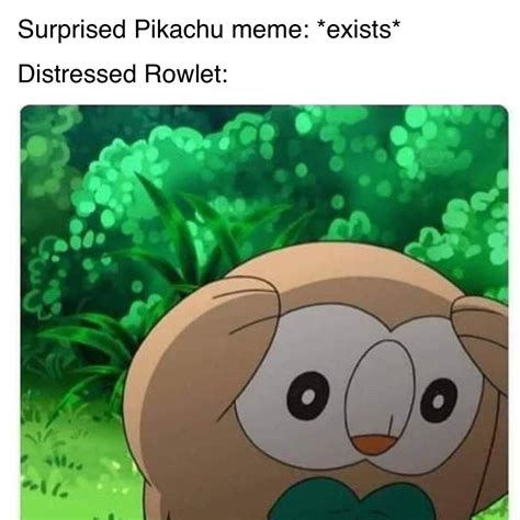 Distressed Rowlet : r/memes