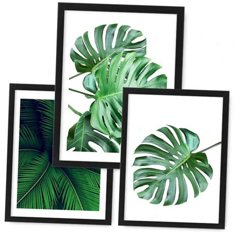 Zestaw 3 Obrazki 24x33 Plakaty MONSTERA Ramka Ikea Cena Opinie