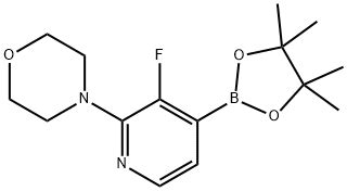 3 FLUORO 2 4 MORPHOLINO PYRIDINE 4 BORONIC ACID PINACOL ESTER 957198