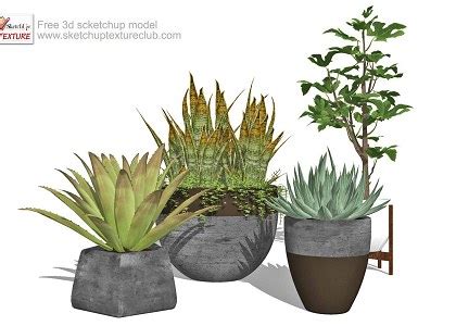 Free D Models Vegetation Sketchup D Plants In Pots