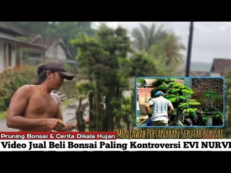 28Juta Jual Beli BONSAI Paling Kontroversi Di Channel EVI NURVI