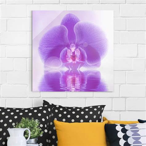 Lila Orchidee Auf Wasser Glasbild Als Quadrat Bilderwelten Purple