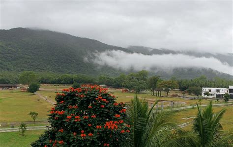 Isha Yoga Center Коямпуттур лучшие советы перед посещением Tripadvisor