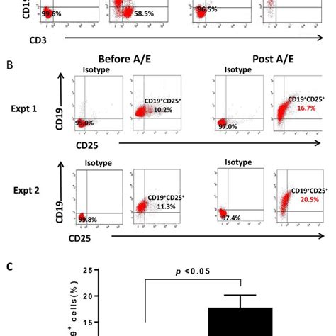 Expression Of CXCR4 In 4T1 TDLN B Cells And CXCL12 In 4T1 Tumor Cells