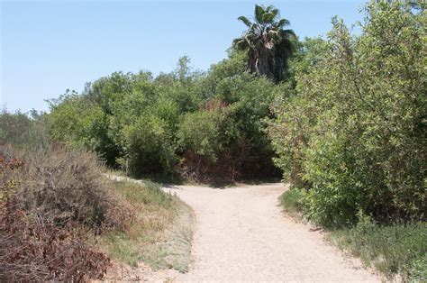 Hiking Guajome County Park in Oceanside - Hiking San Diego County