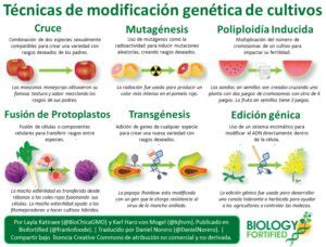 Qu Es La Modificaci N Gen Tica En La Agricultura Modificaci N