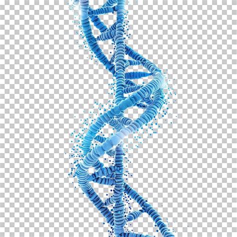 Blue D Dna Helix Isolated On Transparent Premium Ai Generated Psd