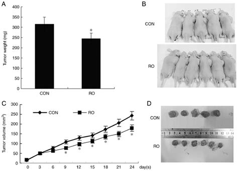 RO Inhibits Tumor Growth In Nude Mice An In Vivo Experiment Was