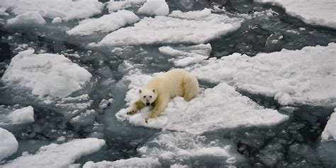 De Wereld Bevindt Zich Op Een Catastrofaal Pad Van 2 7 Graden Celsius