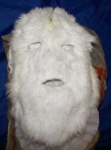 Make an Abominable Snowman Mask. : 6 Steps (with Pictures) - Instructables