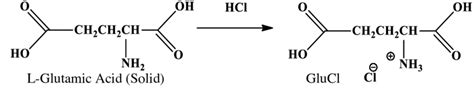 Synthesis mechanism for the production of glutamic acid hydrochloride ...