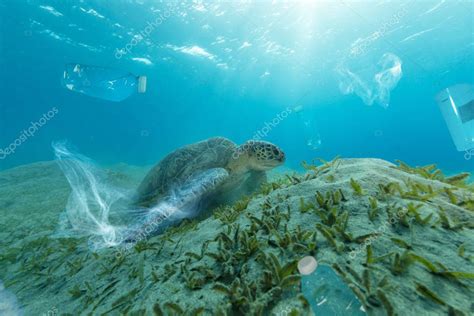 Problema global submarino con la basura plástica 2022