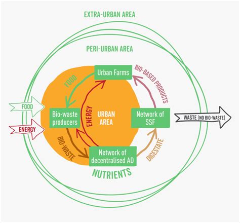 How Innovative Biowaste Management Can Boost The Local - Bio Waste Circular Economy, HD Png ...