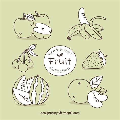 Pack De Frutas Dibujadas A Mano Vector Gratis