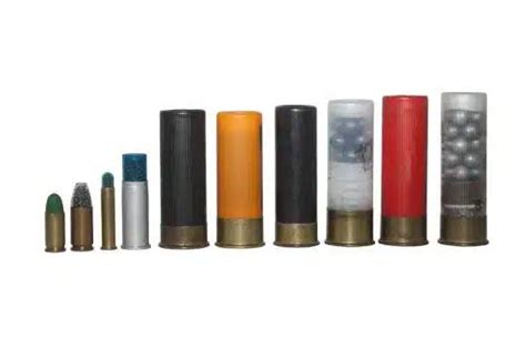 Best Shot Size For Trap Understanding Shotgun Shells And Their Shotgun Shells