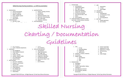 Skilled Nursing Charting Guidelines - Etsy