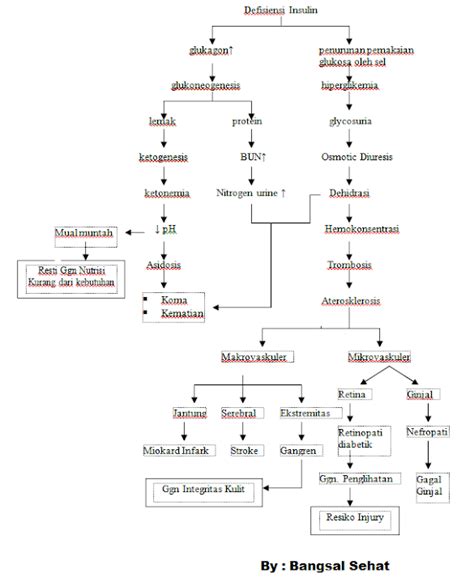 Konsep Asuhan Keperawatan Diabetes Mellitus Pada Lansia Download Pdf Dan Doc