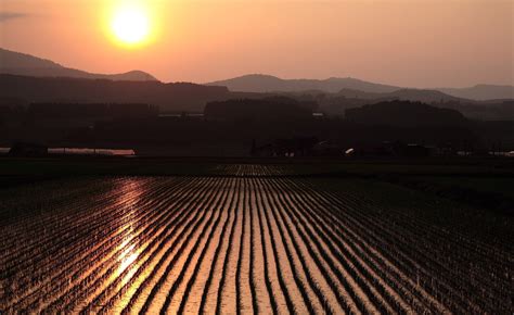 デスクトップ壁紙 日光 風景 日没 丘 自然 フィールド 写真 日の出 イブニング 朝 太陽 地平線 田んぼ