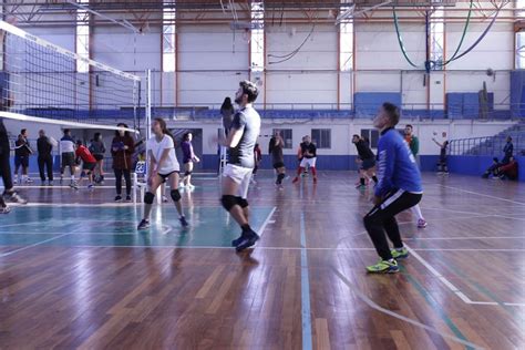 ¿cómo Se Organiza Un Torneo De Voleibol Club Stars Sport Madrid