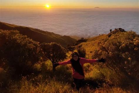 Pembukaan Jalur Pendakian Gunung Merbabu Via Suwanting Private