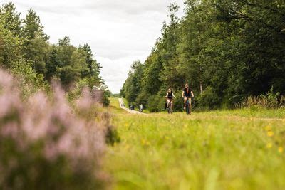 Trappen Tussen Bos En Maas Proroute Recreatieve Fietsroute RouteYou